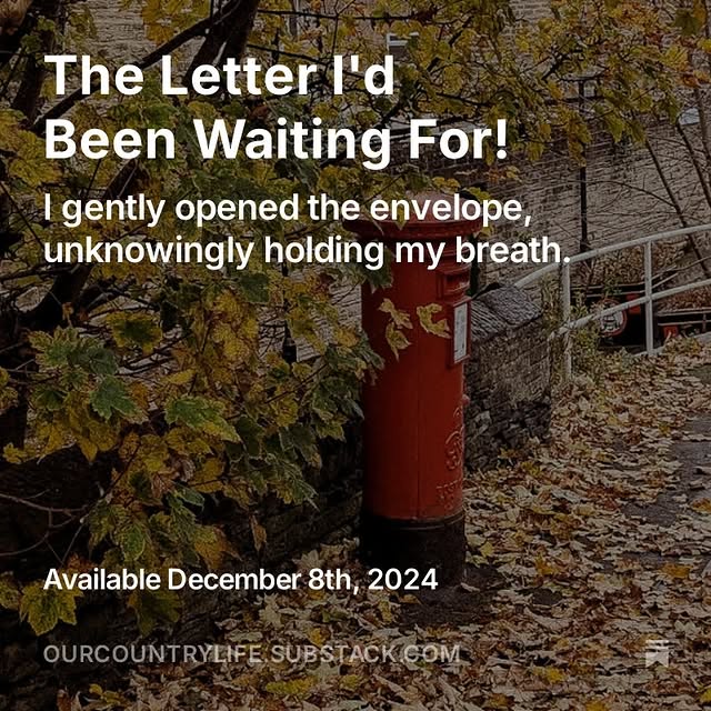 Post by our_country_life_photography