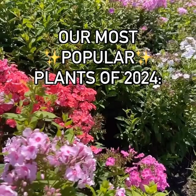 Post by greatgardenplants