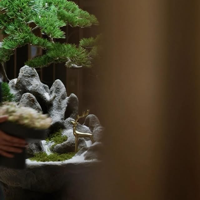 Post by nmg.singapore