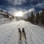 mikemcdermottcreative