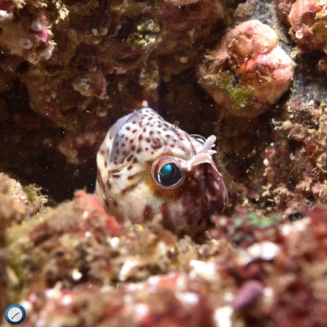 Post by underthesea_perfection