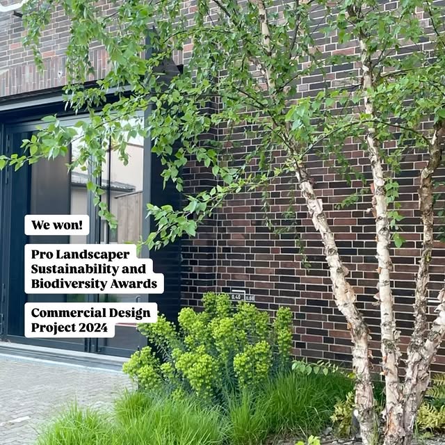 Post by harrisbuggstudio