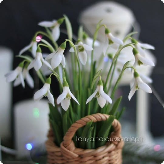 Post by tanya.haidukova.lepit