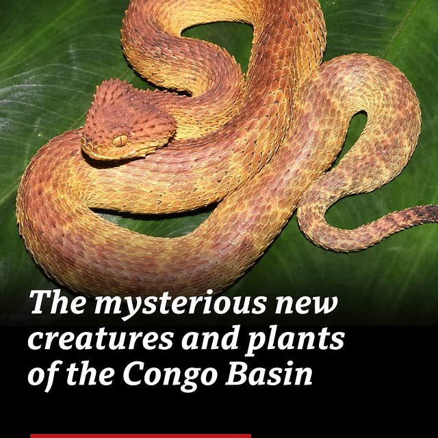 Post by bbcworldservice