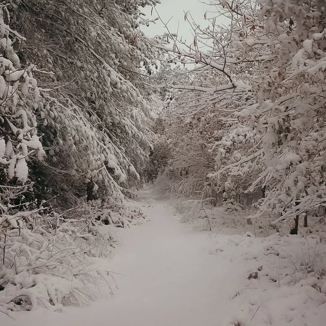 Post by our_country_life_photography