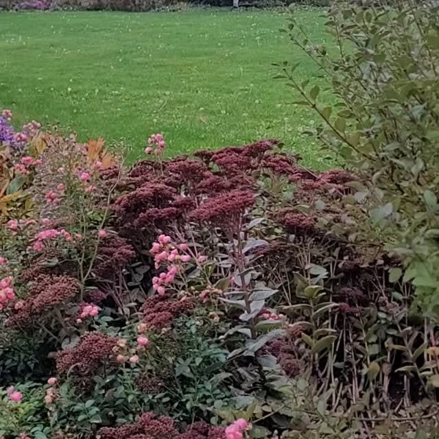 Post by gartenaugenblicke