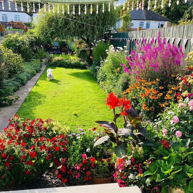 Post by bibbys_home_and_garden