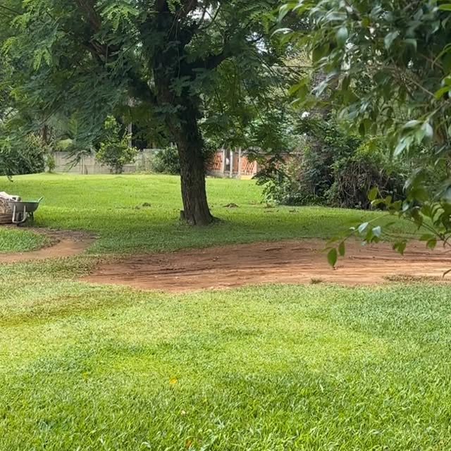 Post by zanitanahas_terapeuta