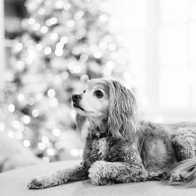 Post by kellytravisty