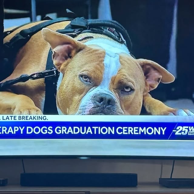 Post by julie_dudley