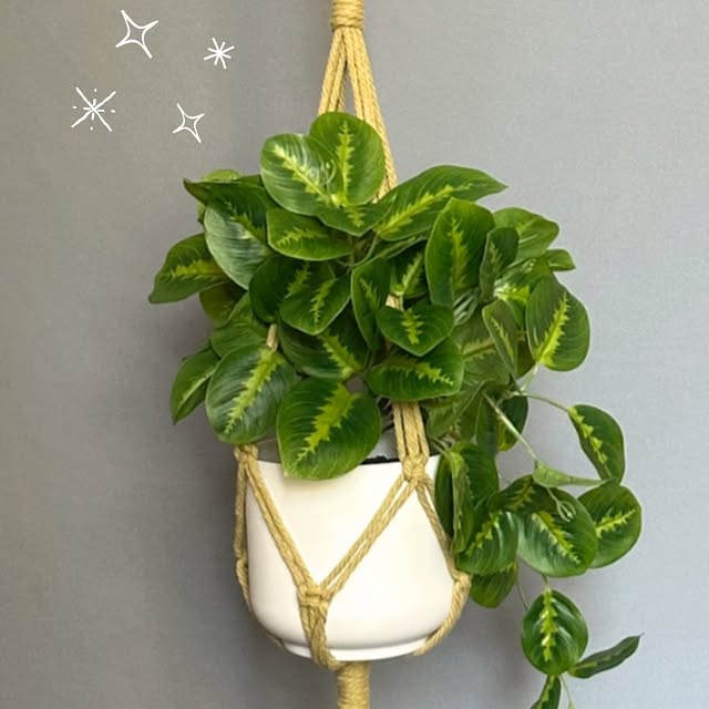 Post by studentmade_rockhill