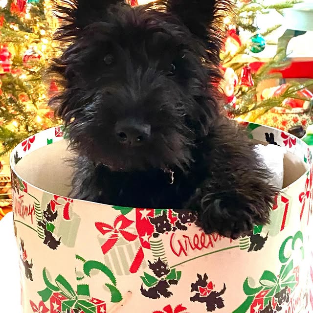 Post by littleredhousevintage