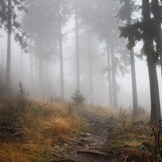 Post by herz.allerliebst