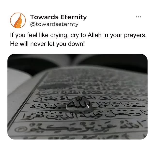 Post by towardseternity