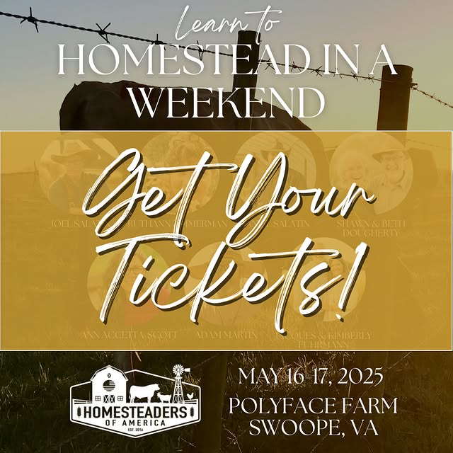 Post by homesteadersofamerica