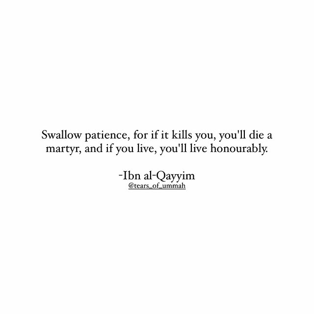 Post by tears_of_ummah