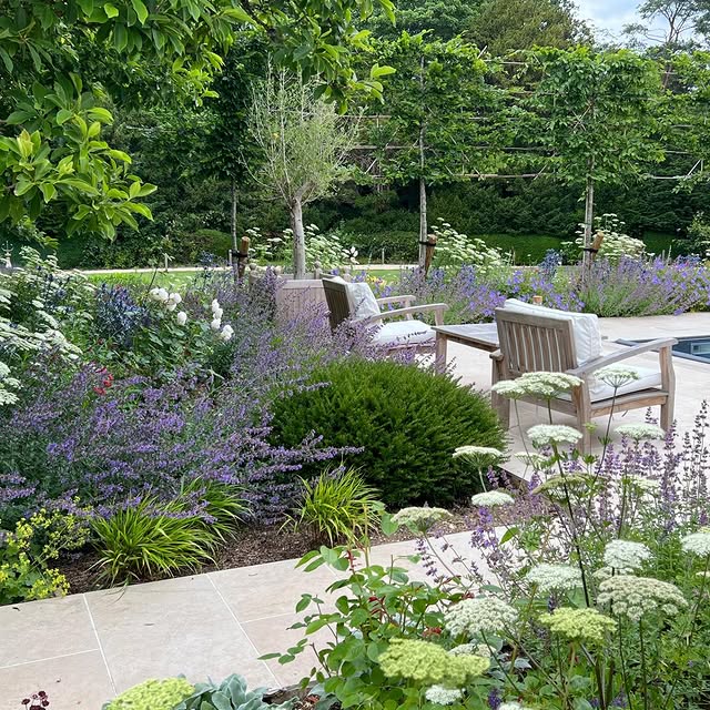 Post by rainegardendesign