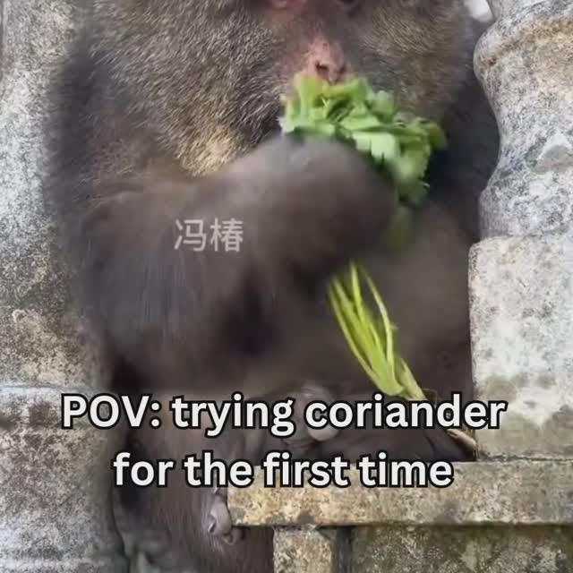 Post by i.hate.coriander