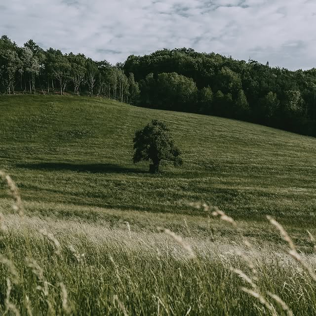 Post by timdreher.visuals