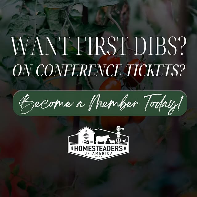 Post by homesteadersofamerica