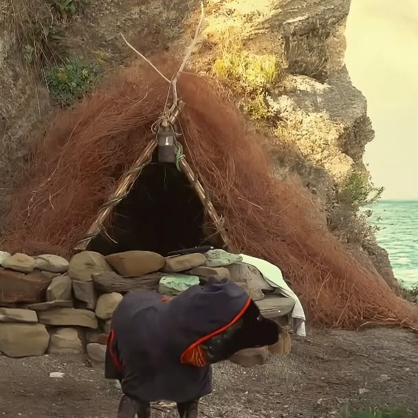 Post by bushcraft_hakan_karahan