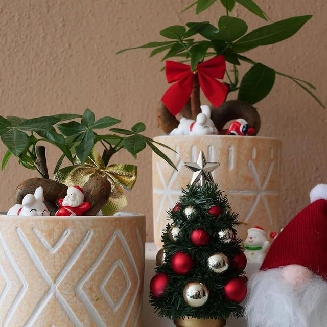 Post by peoplewithplants_official