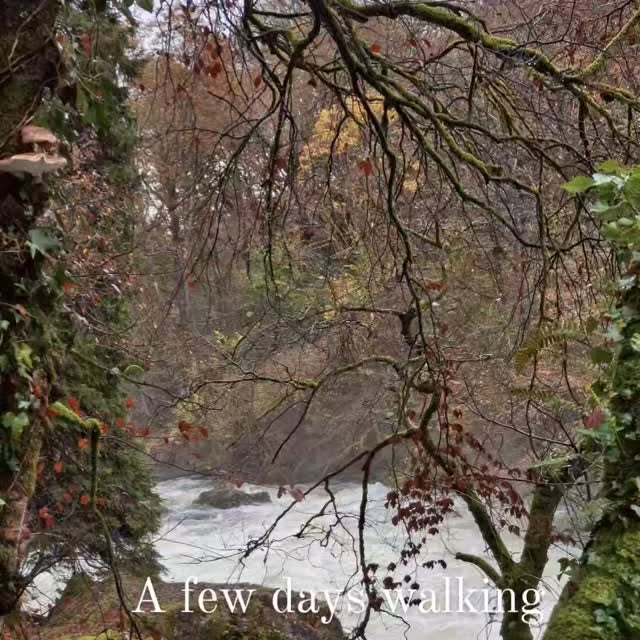 Post by troyscottsmith1