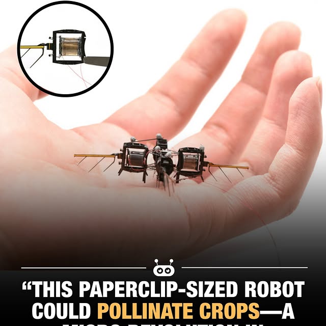 Post by uncover.robotics