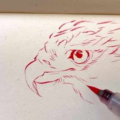 Post by curlydrawsss