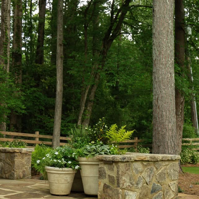 Post by millhousehowell_landscape.co