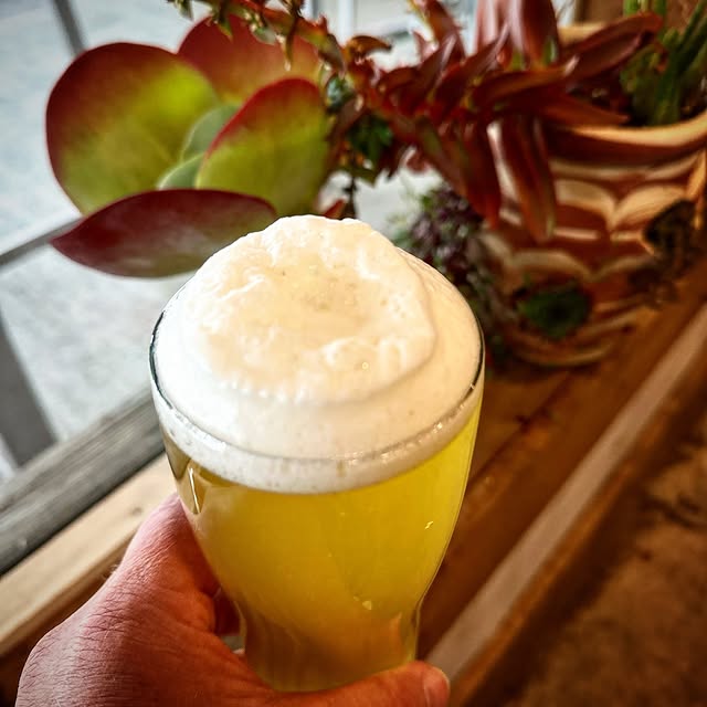 Post by aurorabrewco