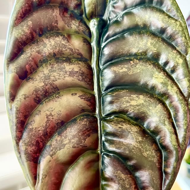 Post by alltheplantys