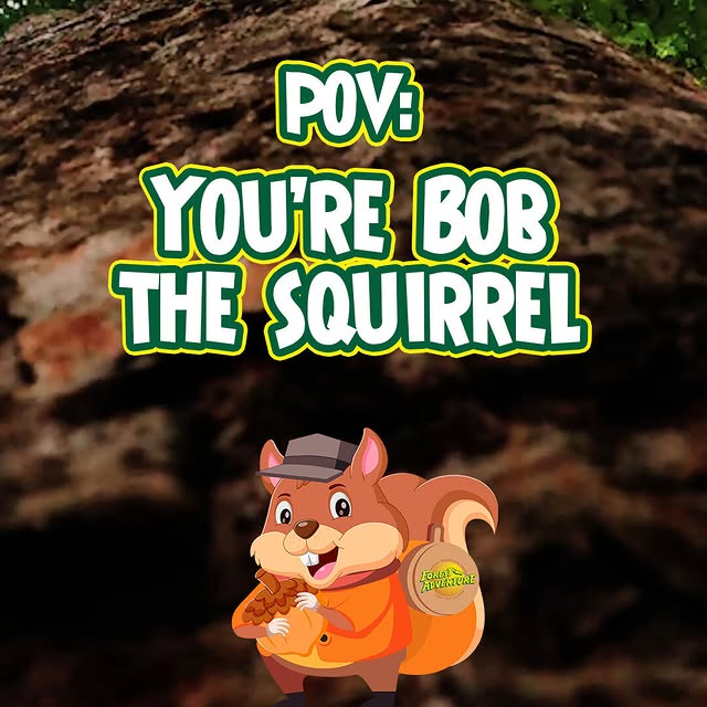 Post by forestadventuresg