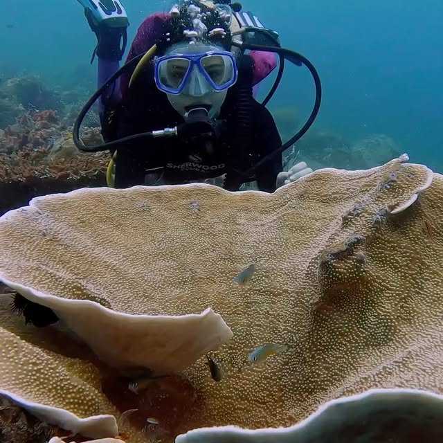 Post by critter.hunter