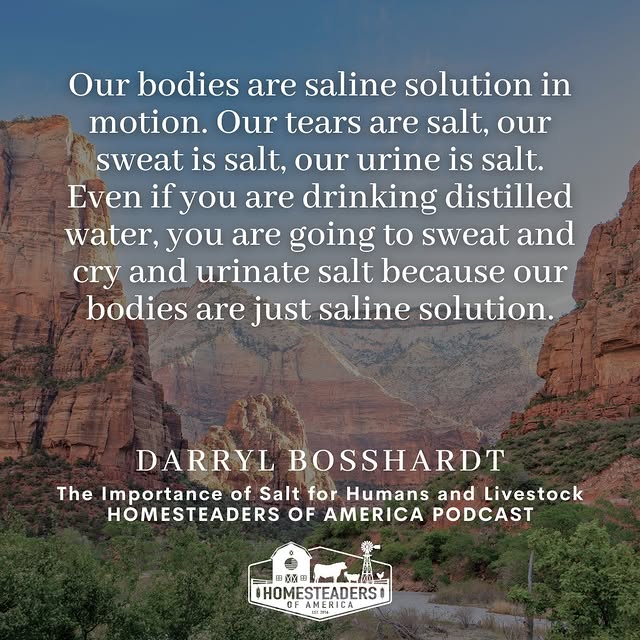 Post by homesteadersofamerica