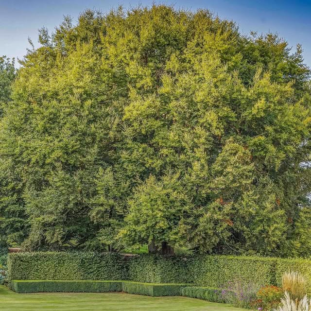 Post by jeremy.n.allen