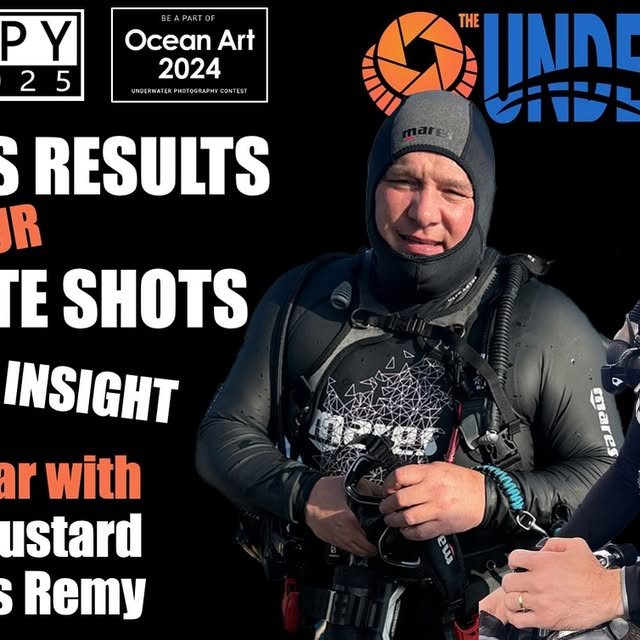 Post by alexmustard1