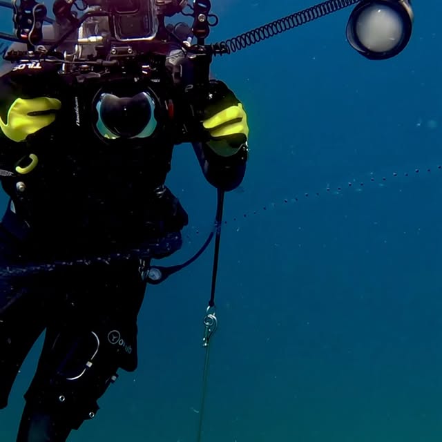 Post by brett_hoelzer