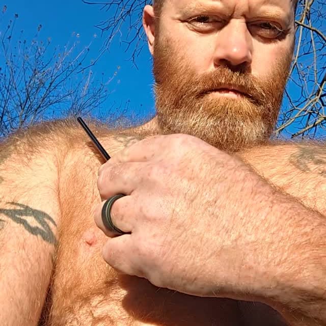 Post by thegingerwarrior1