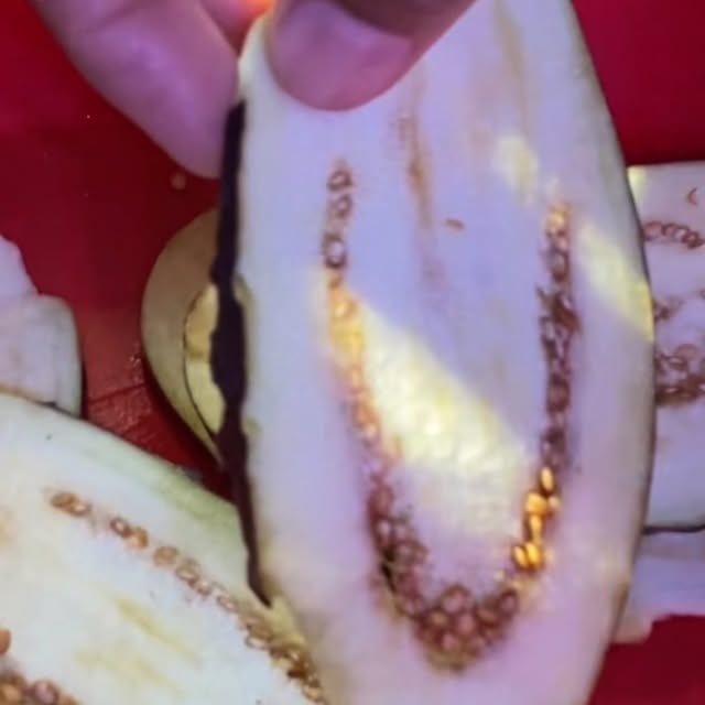 Post by theeverydayrecipes