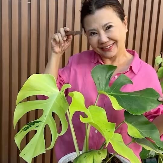 Post by mama.treehouse