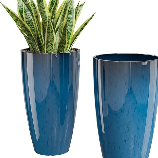 Post by plant_lovers4