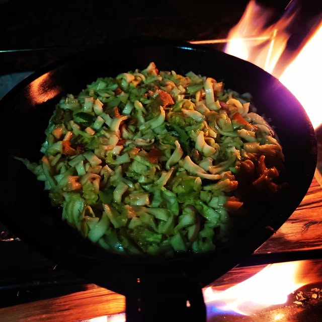 Post by shu_camp_log