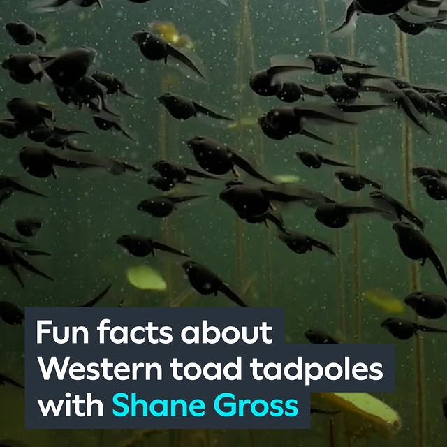 Post by shanegrossphoto