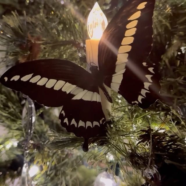 Post by agothicarygardens