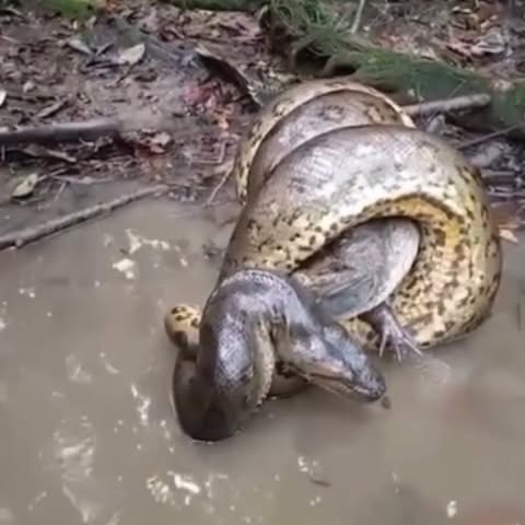 Post by natureismetal