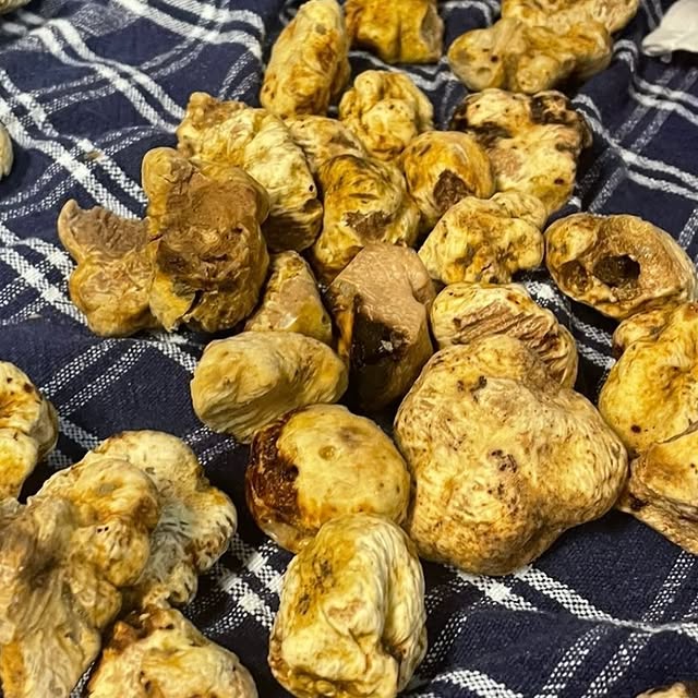 Post by metropolrestaurant