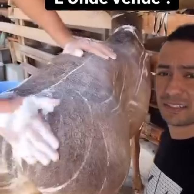 Post by allan.silva019ofc