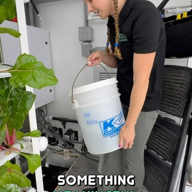 Post by brickstreetfarms