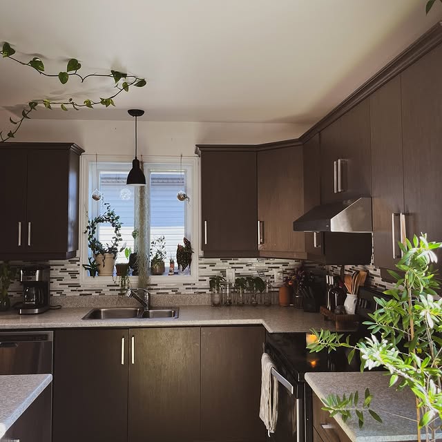 Post by houseofbotanical